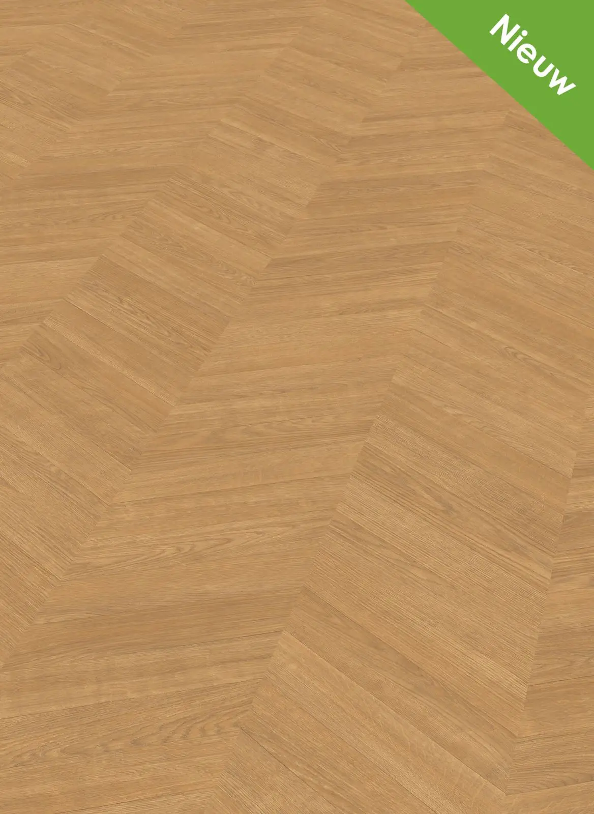 EGGER Kingsize 8 mm 291 Honey Skanderborg Oak laminaat | PVC & Parkethuys
