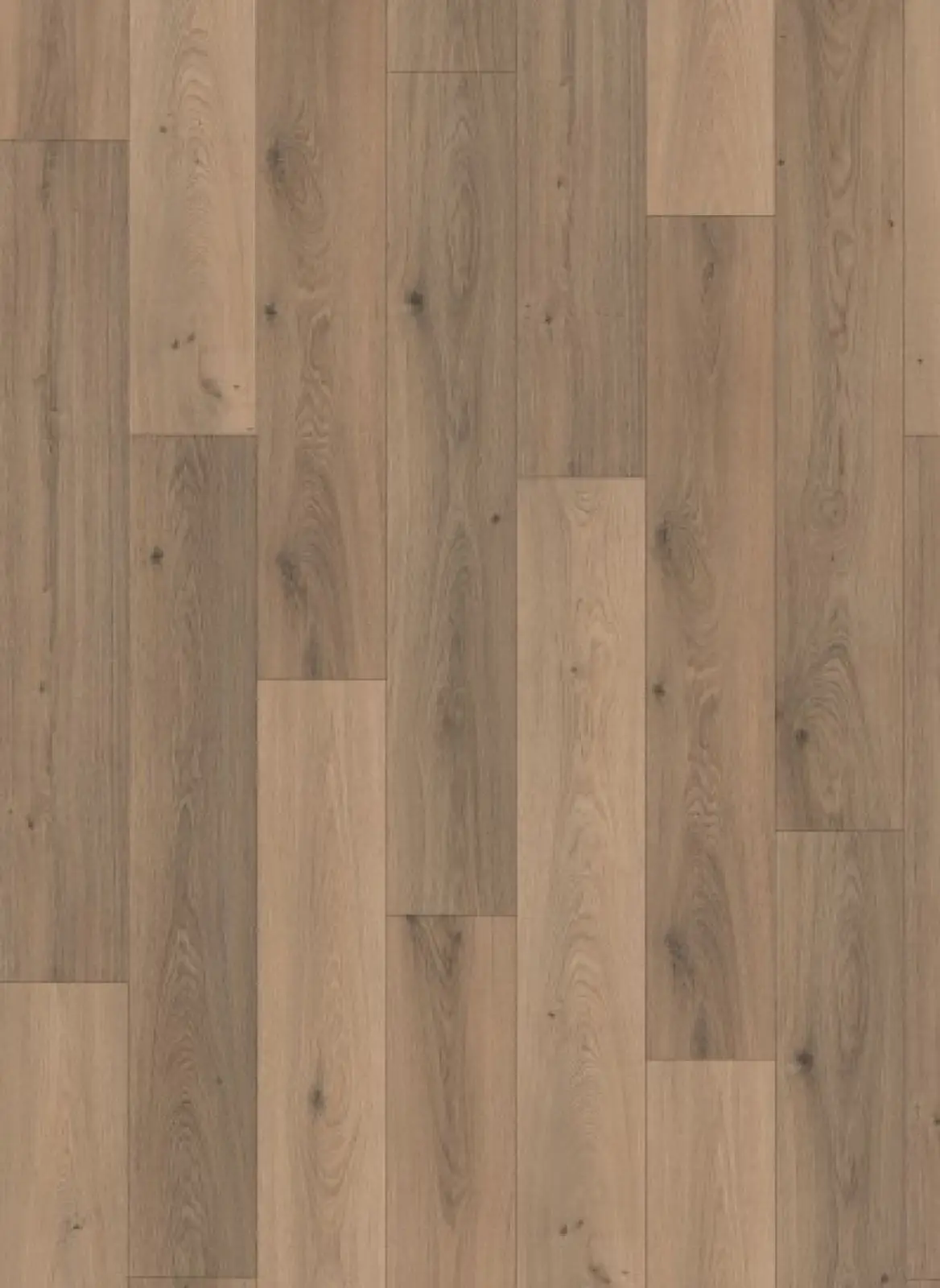 EGGER Panthera 1059 Tokio Oak laminaat | PVC & Parkethuys