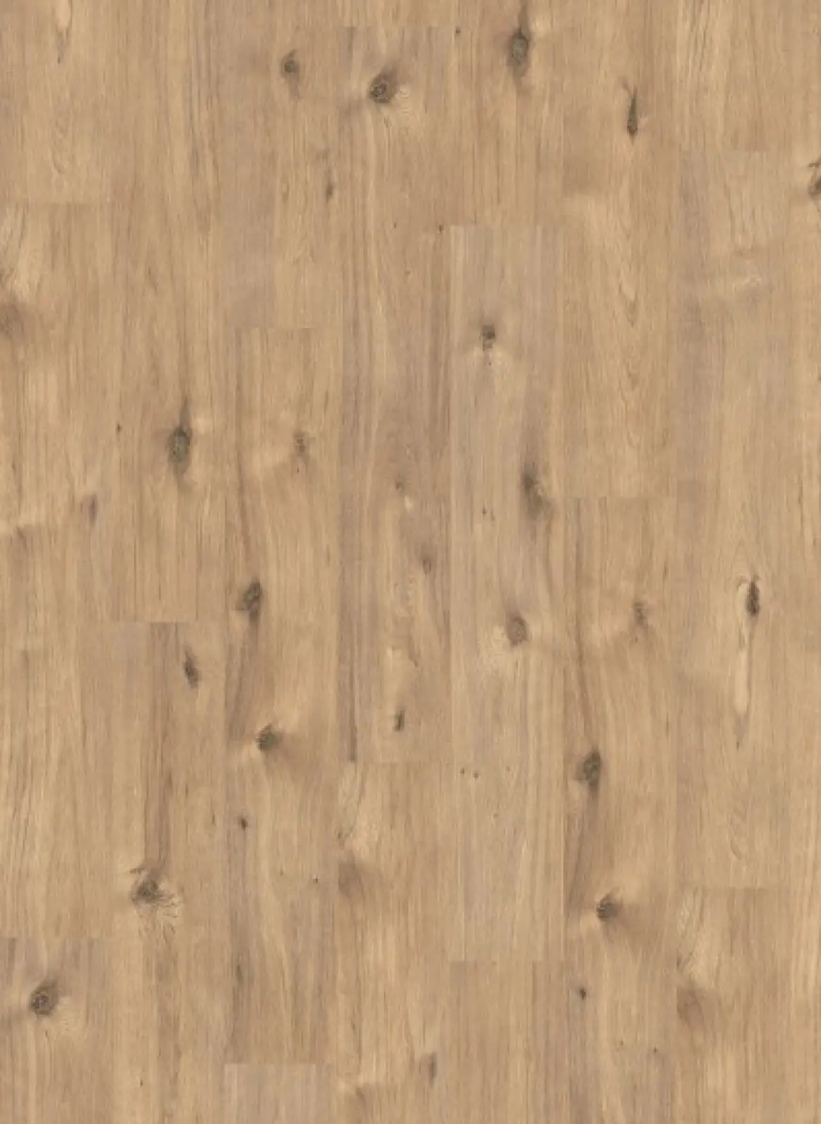EGGER Panthera 1061 Achensee Oak laminaat | PVC & Parkethuys