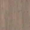 EGGER Panthera 2833 Nairobi Oak laminaat | PVC & Parkethuys