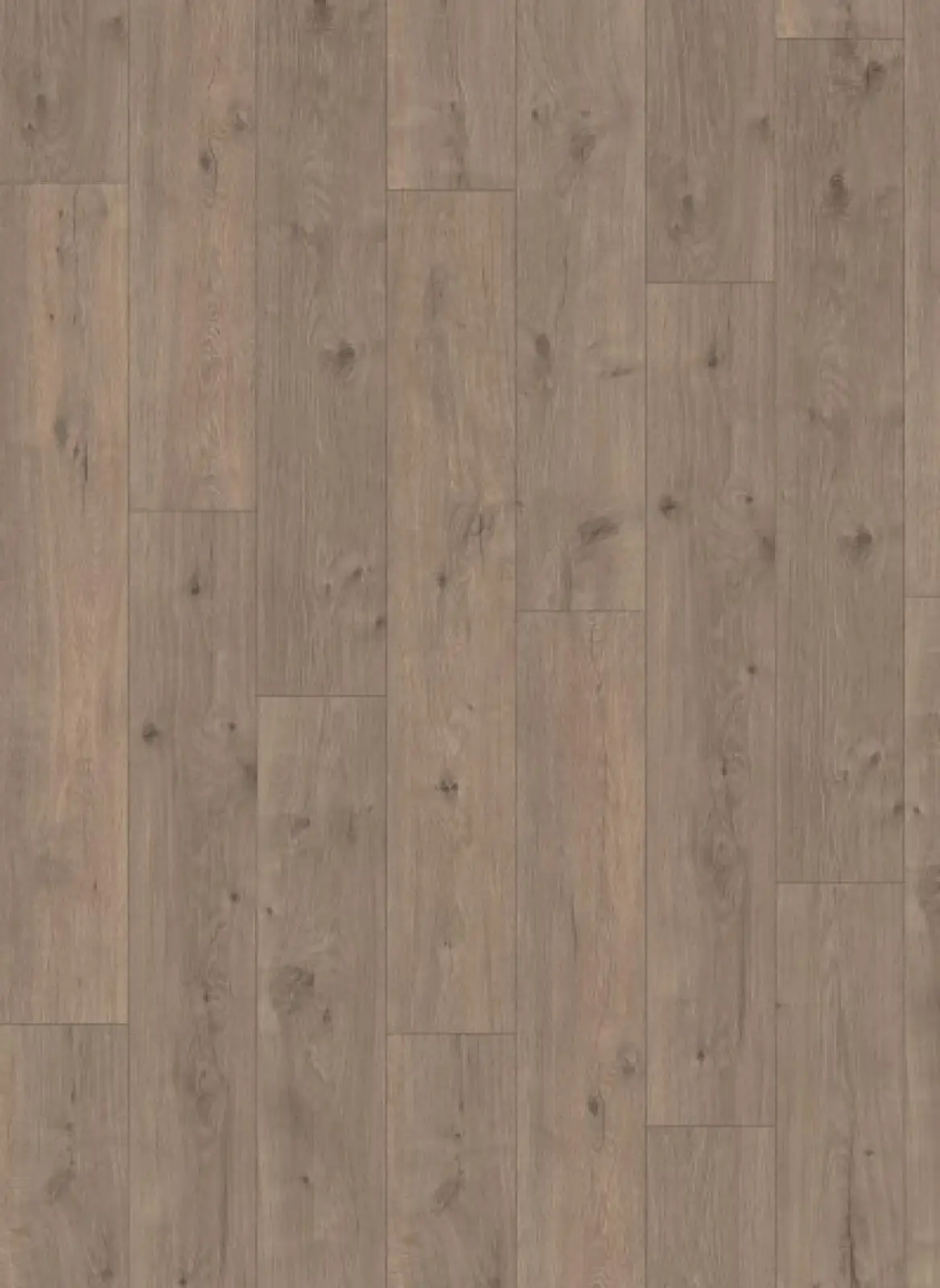 EGGER Panthera 2833 Nairobi Oak laminaat | PVC & Parkethuys