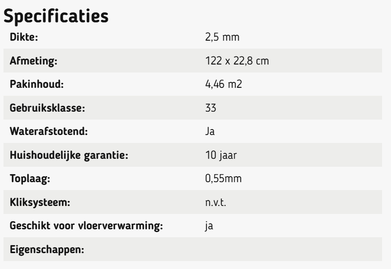 Hoomline City Dryback Nijmegen 6047 - Afbeelding 2