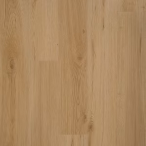 PVC & Parkethuys Terra